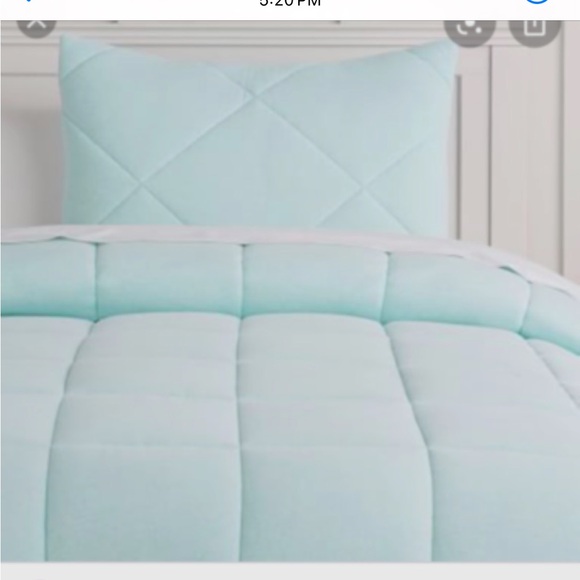 Pottery Barn Sham - Picture 1 of 9